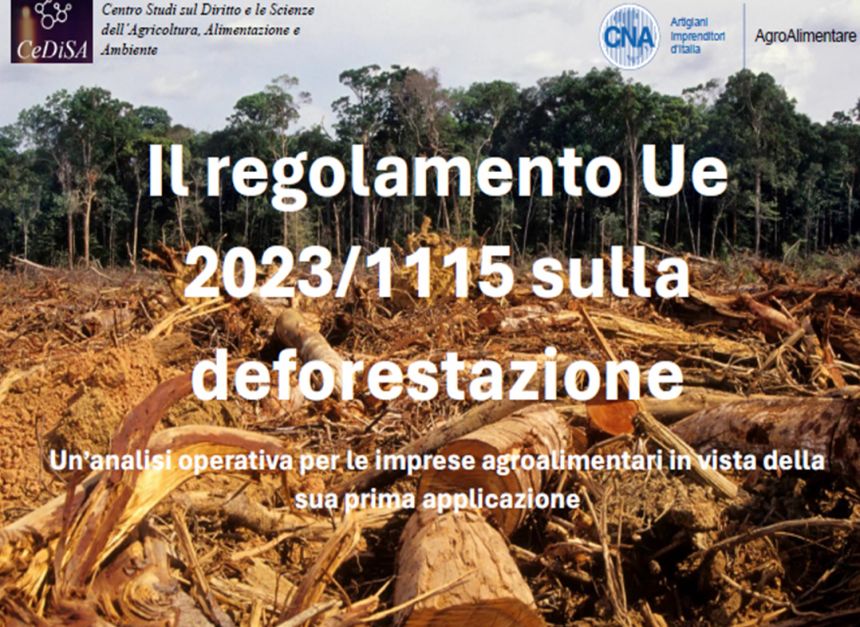 Seminario Regolamento Deforestazione 