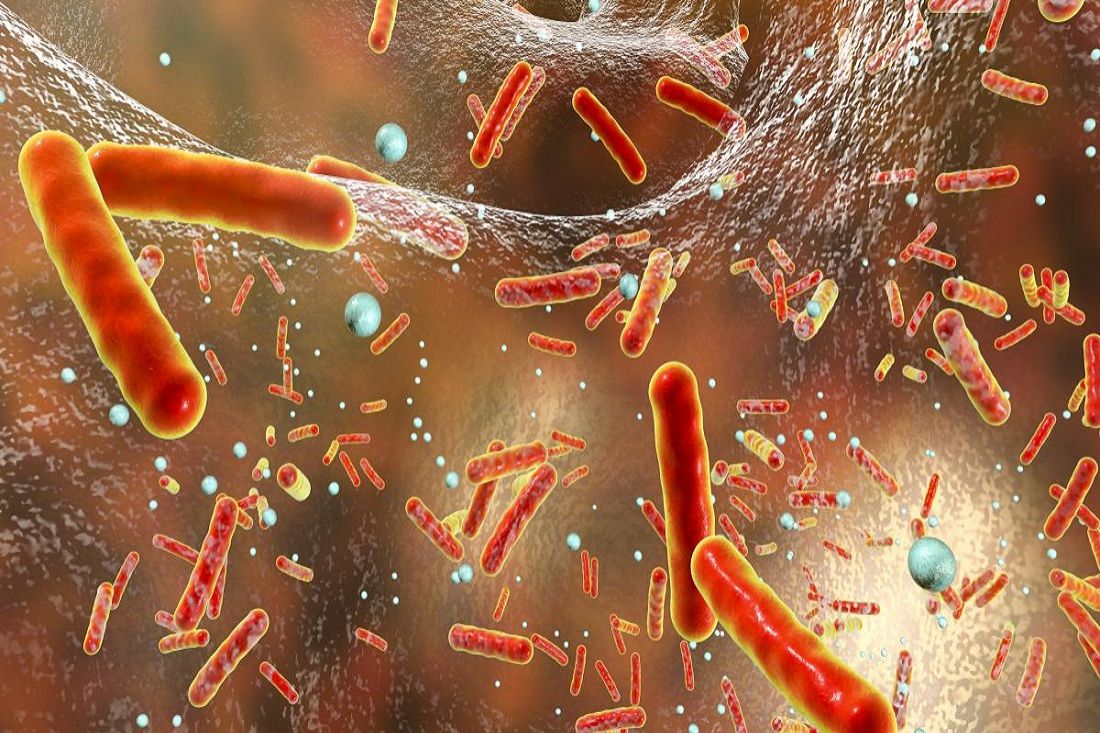 I livelli di resistenza dei batteri che causano infezioni alimentari
