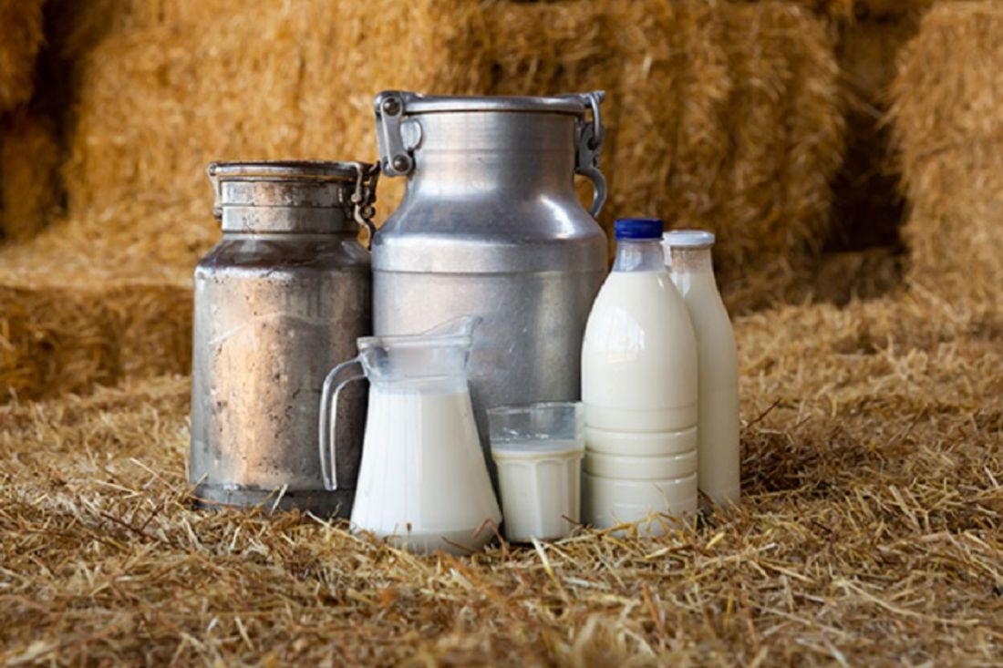 Le tendenze del settore lattiero-caseario